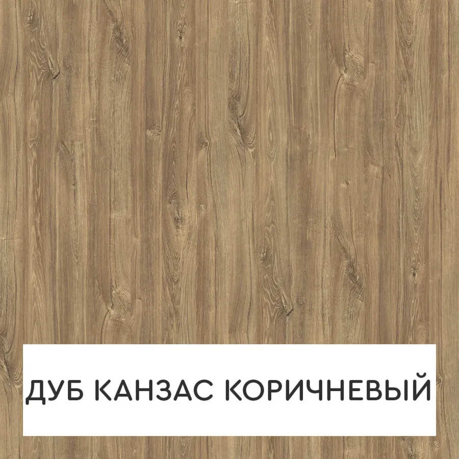 Двухдверный шкаф-купе с открытой секцией R-9, вид 4